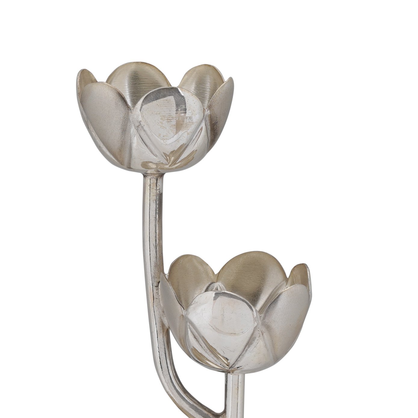 Tulip Stand